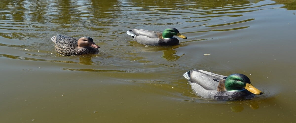 best motion duck decoys