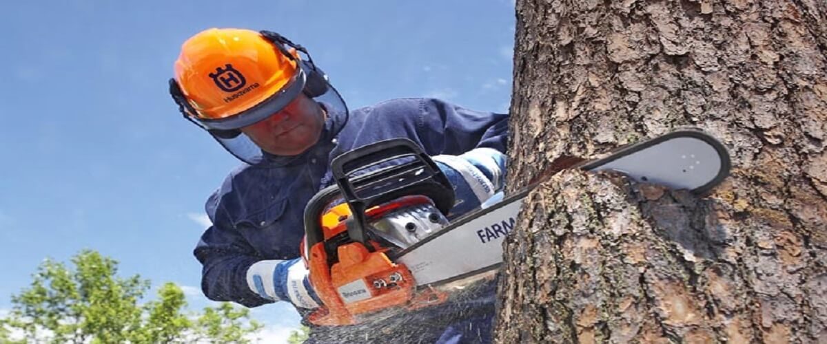 Top 5 Chainsaw Safety Tips That Everyone Should Know