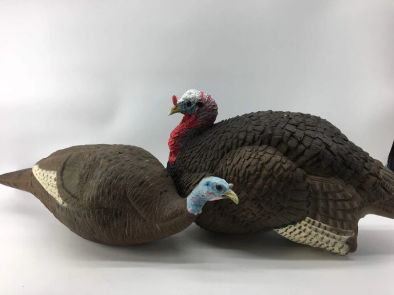 Best Turkey Decoys for the Money In 2020 【Buying Guide】