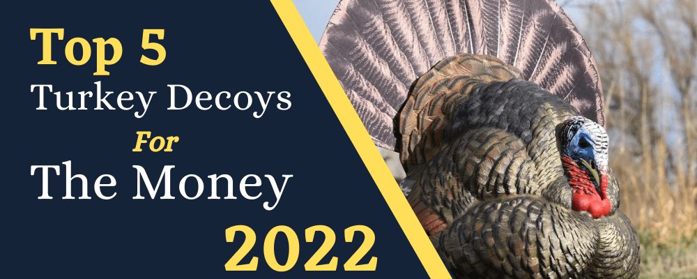 Best Turkey Decoys For The Money
